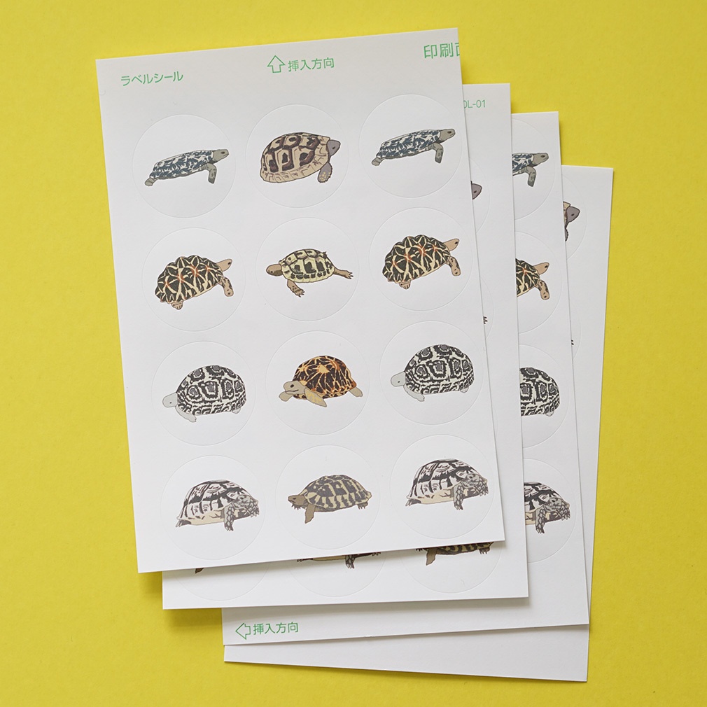 丸シール30mm リクガメ