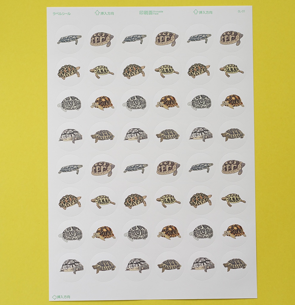 丸シール30mm リクガメ