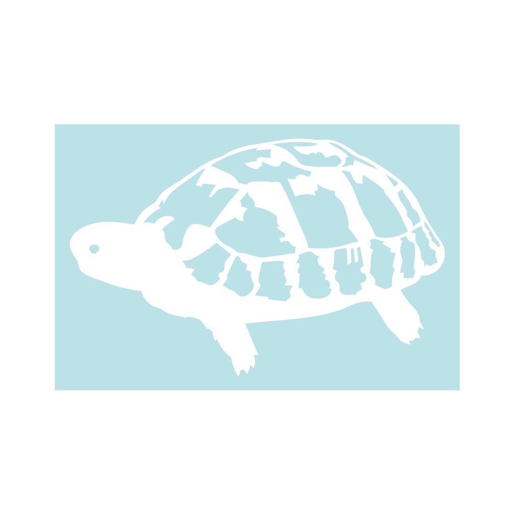 ステッカー ヘルマンリクガメ