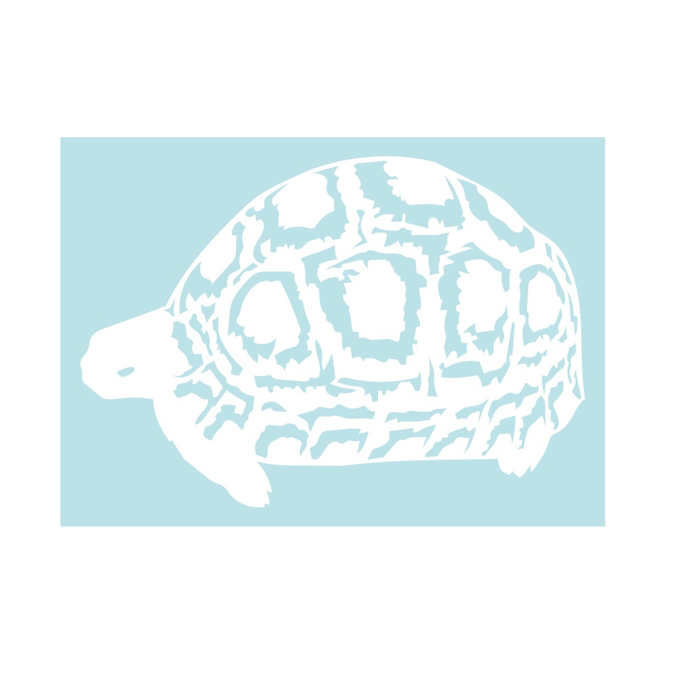 ステッカー ヒョウモンガメ