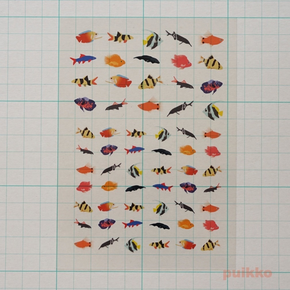 レジン封入用フィルム 熱帯魚2