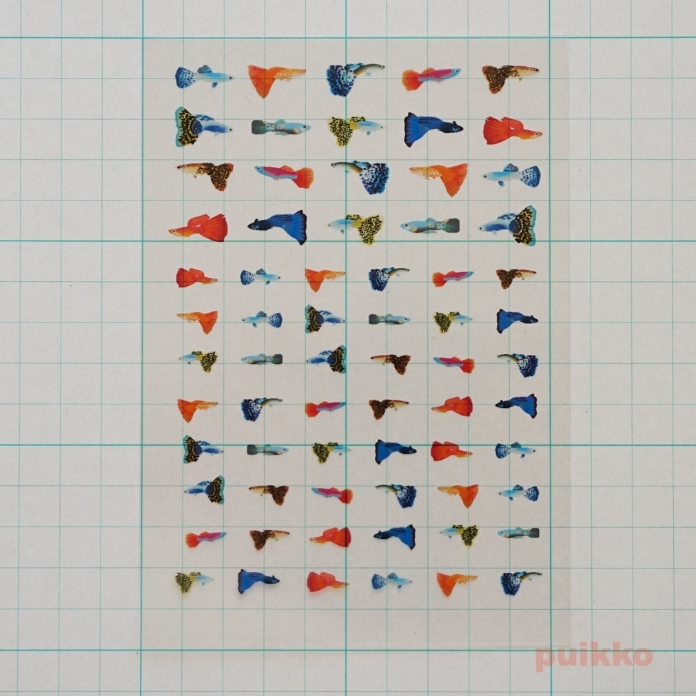 レジン封入用フィルム グッピー