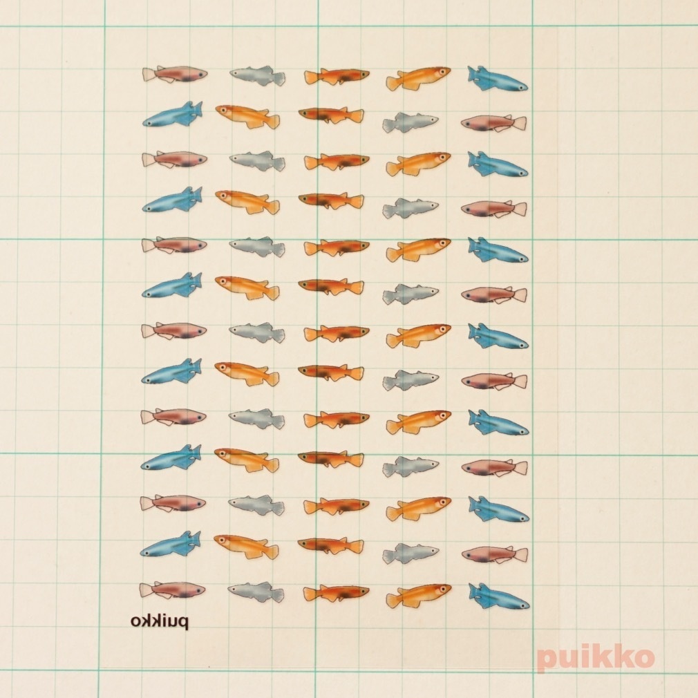 レジン封入用フィルム メダカ2