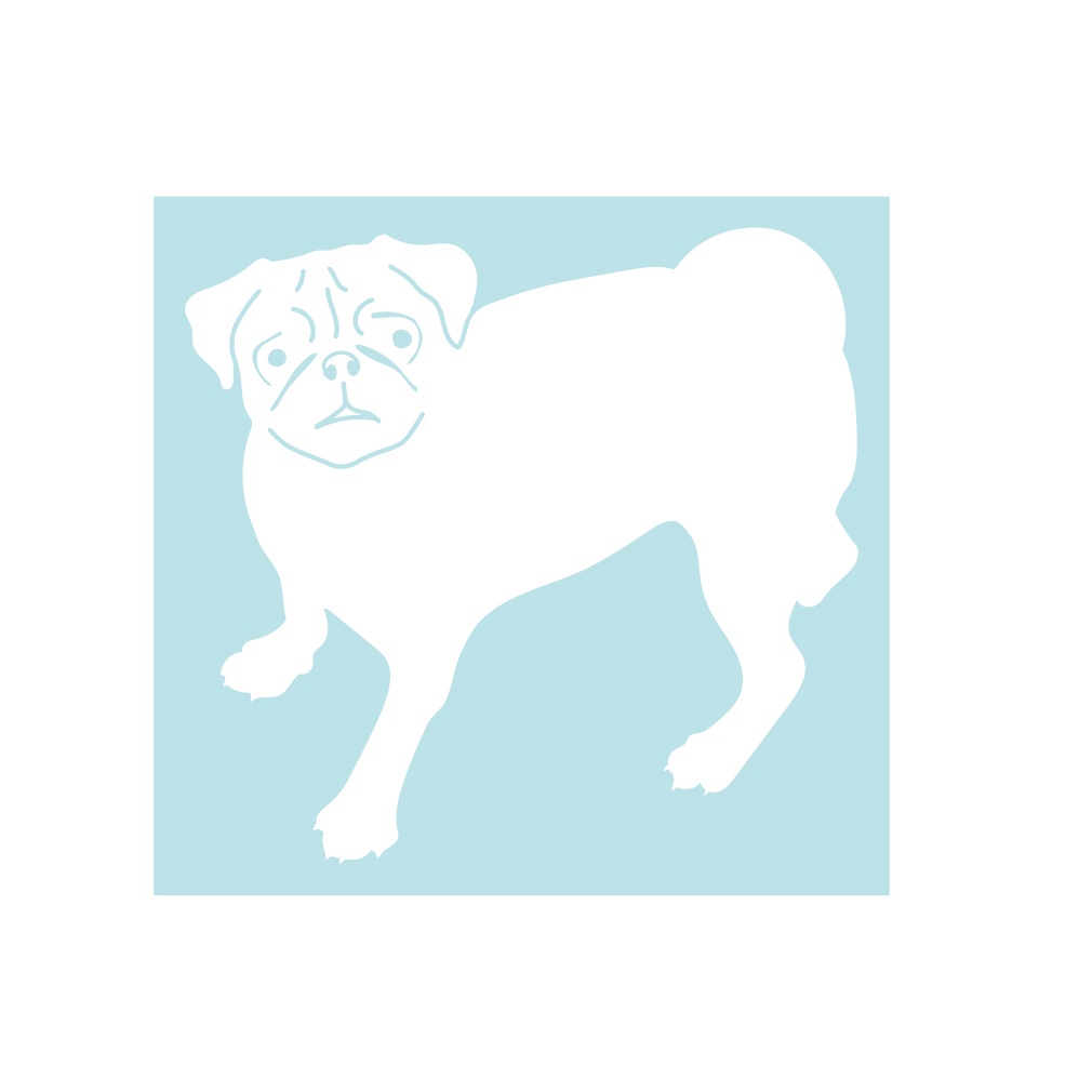 犬ステッカー パグ1