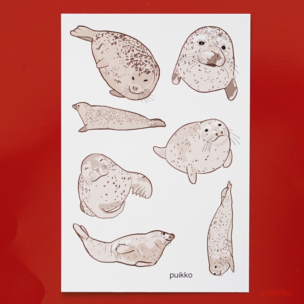 タトゥーシール　ゴマフアザラシ