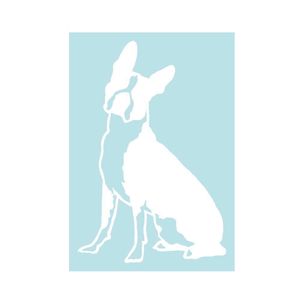 犬ステッカー ボストンテリア1