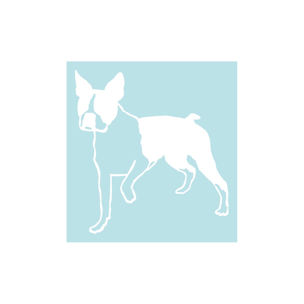 犬ステッカー ボストンテリア2