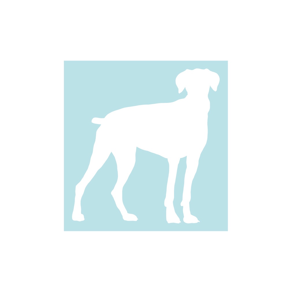 犬ステッカー ドーベルマン