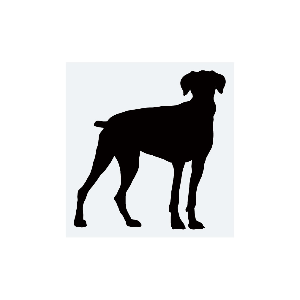 犬ステッカー ドーベルマン