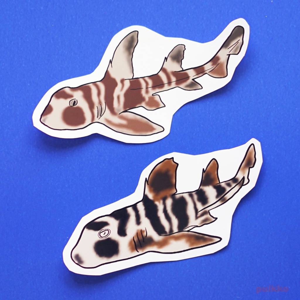 シールタイプステッカー ネコザメ(2枚セット)