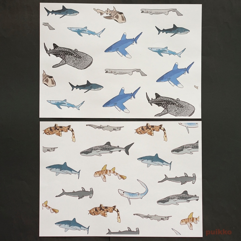 紙製ブックカバー サメ(カラー)(5枚セット)