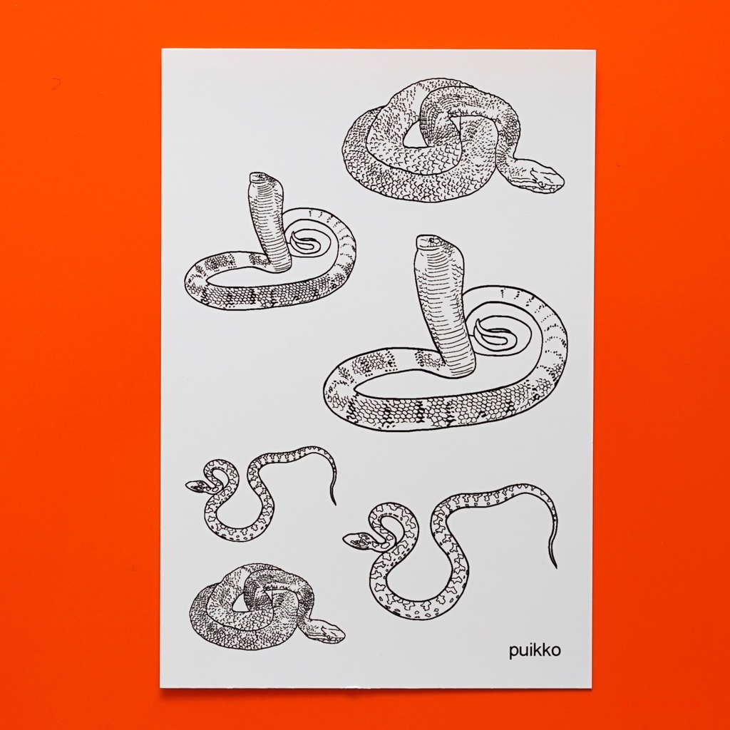 タトゥーシール　蛇・線画