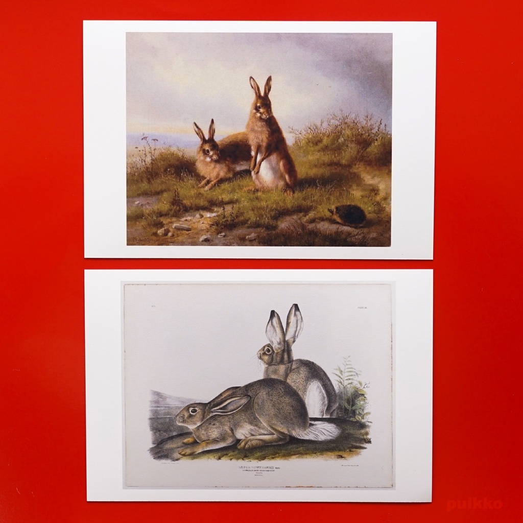 ポストカード うさぎの名画(5枚セット)