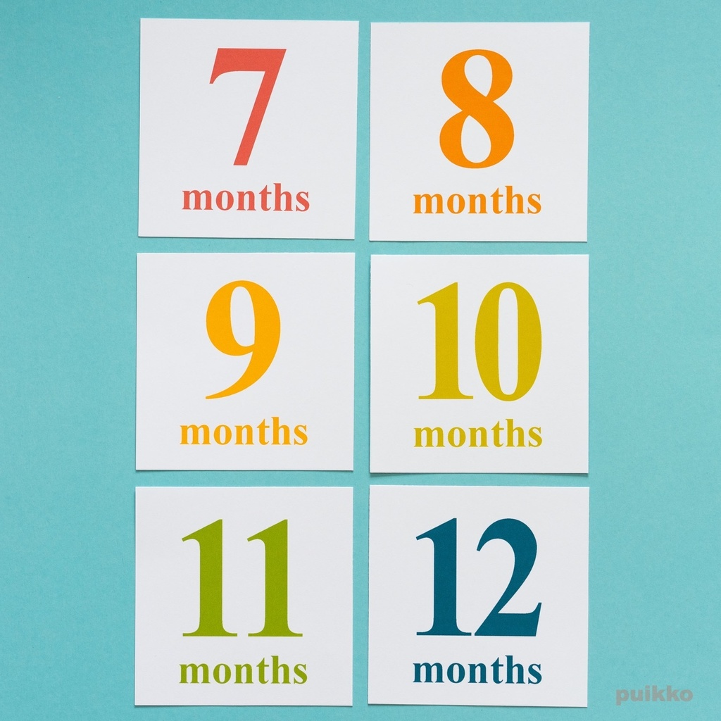 ベビーマンスリーカード Times(ましかく)