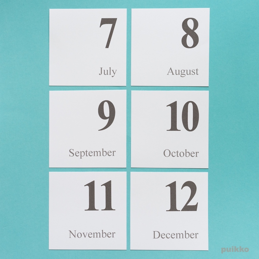 写真整理用マンスリーカード Times・モノクロ(ましかく)