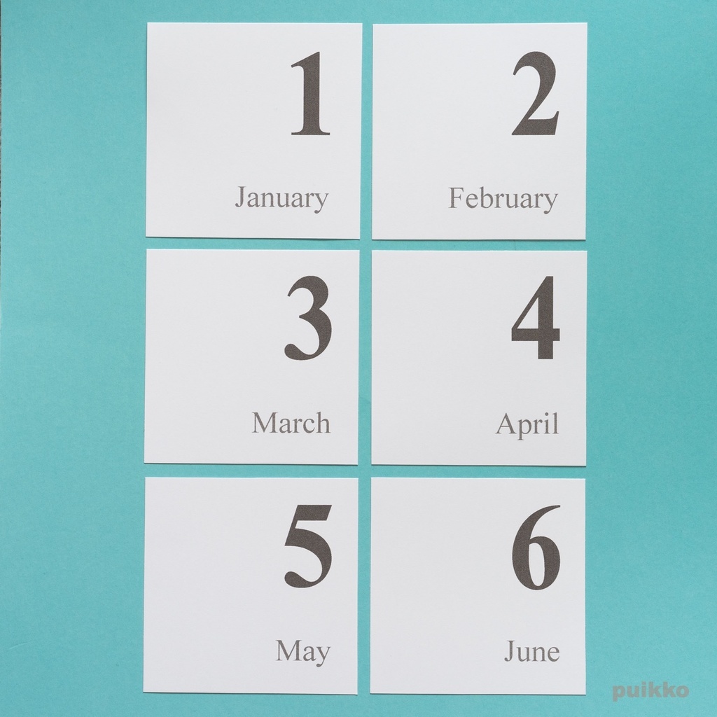 写真整理用マンスリーカード Times・モノクロ(ましかく)