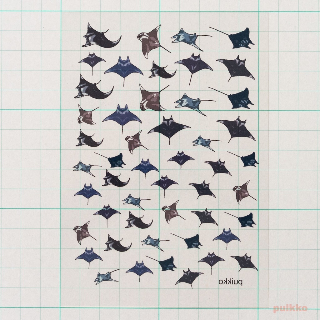 レジン封入用フィルム マンタ・イラスト