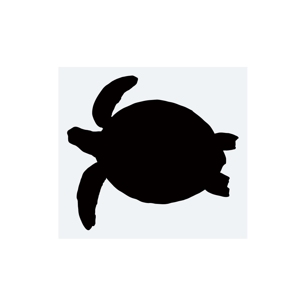 ステッカー　ウミガメ3