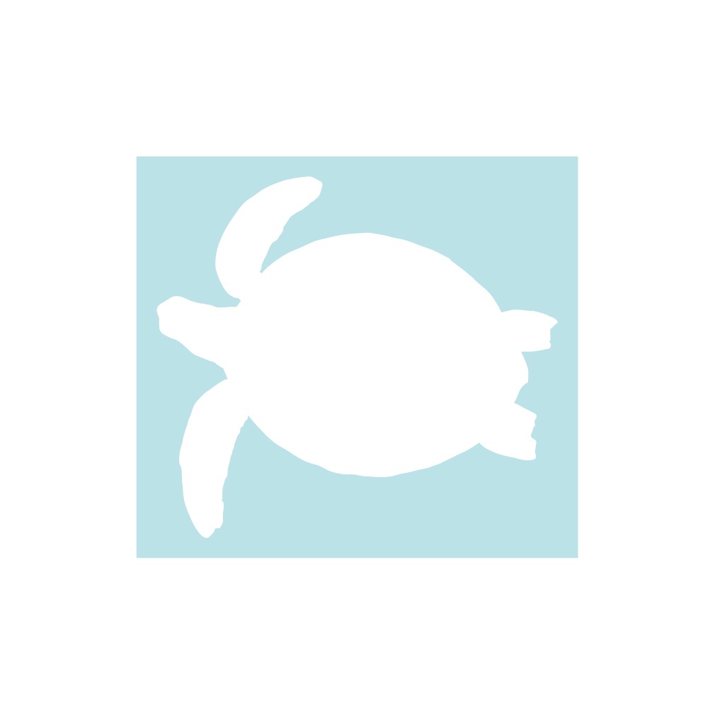 ステッカー ウミガメ3