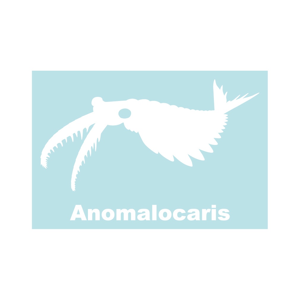 古生物ステッカー アノマロカリス