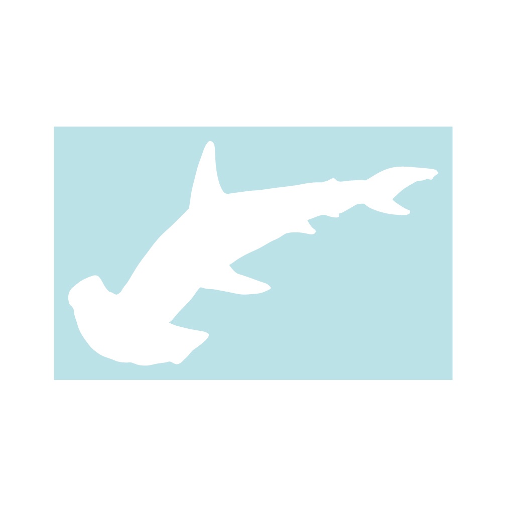 ステッカー シュモクザメ2