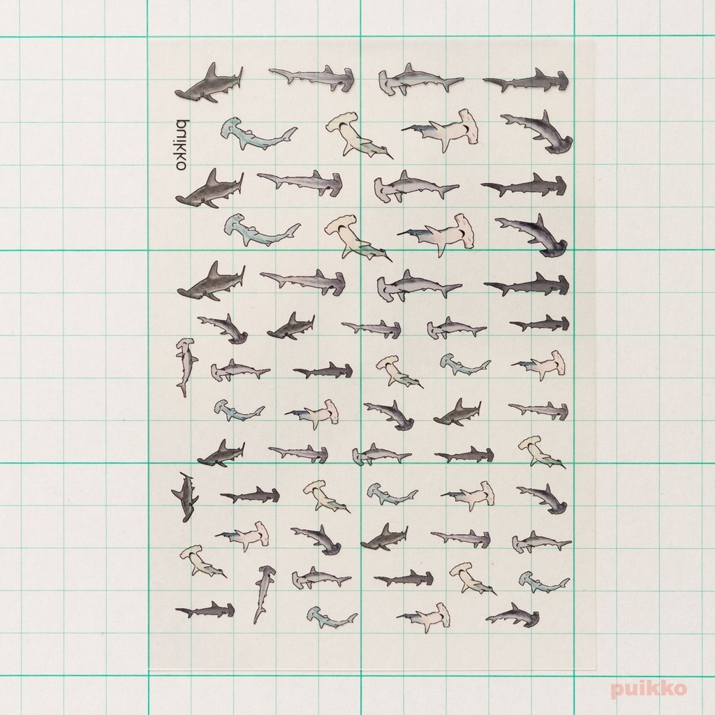 レジン封入用フィルム シュモクザメ