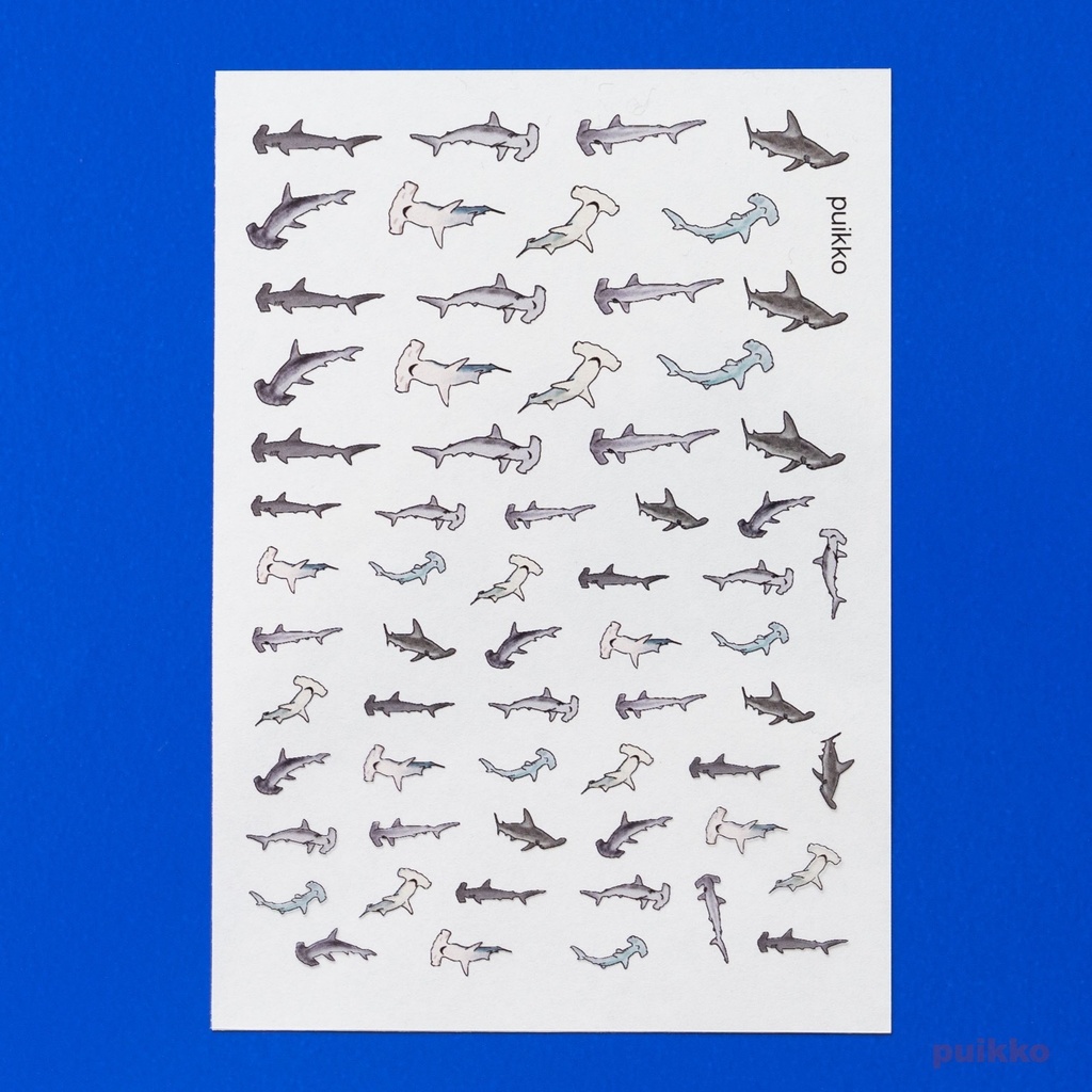 レジン封入用フィルム シュモクザメ