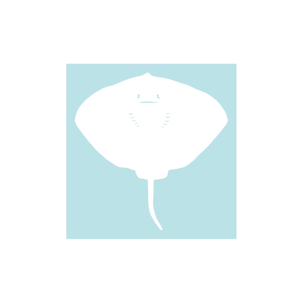 ステッカー 下から見たエイ1