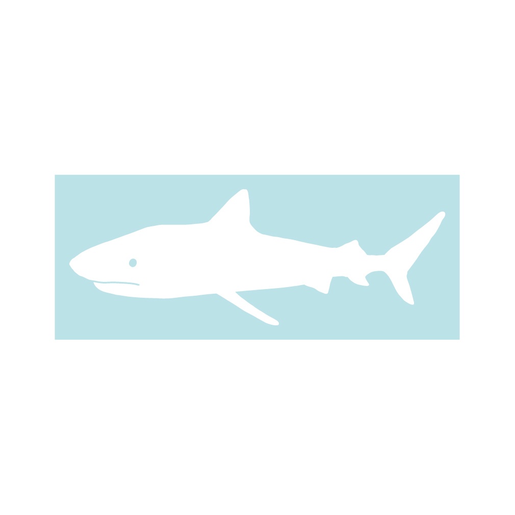 ステッカー ホホジロザメ1