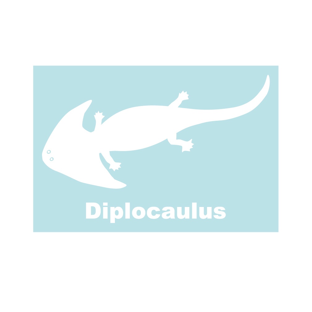 古生物ステッカー ディプロカウルス