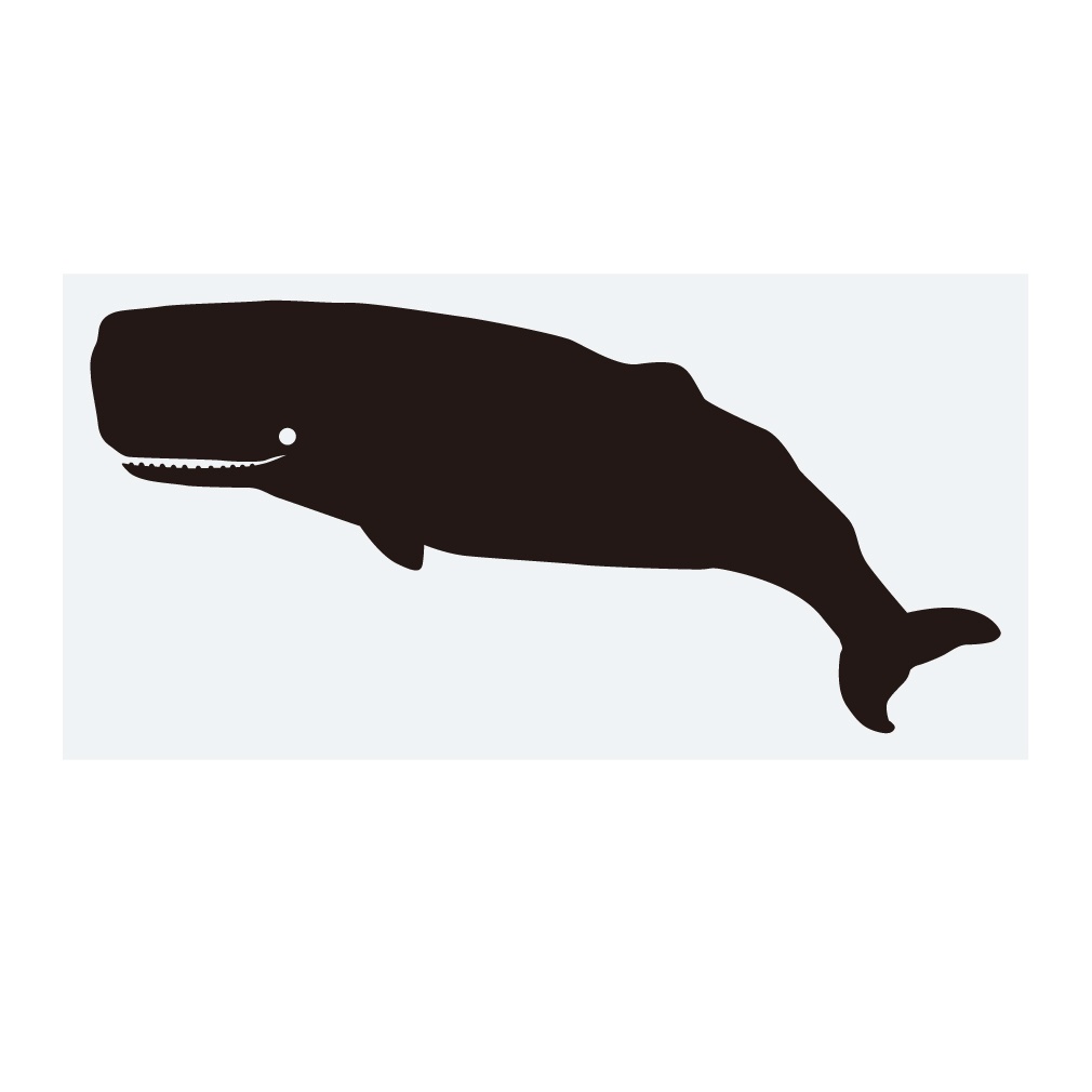 ステッカー　マッコウクジラ