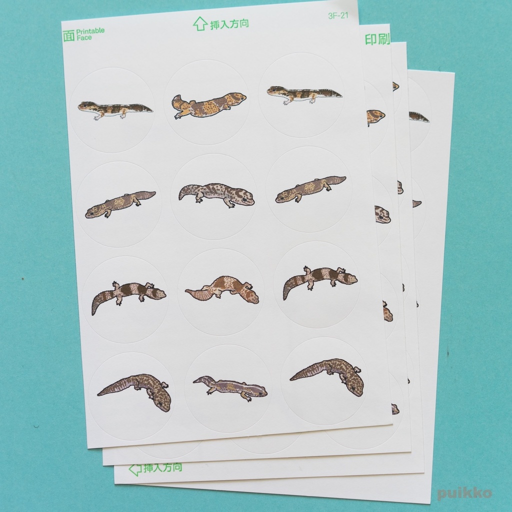 丸シール30mm ニシアフリカトカゲモドキ