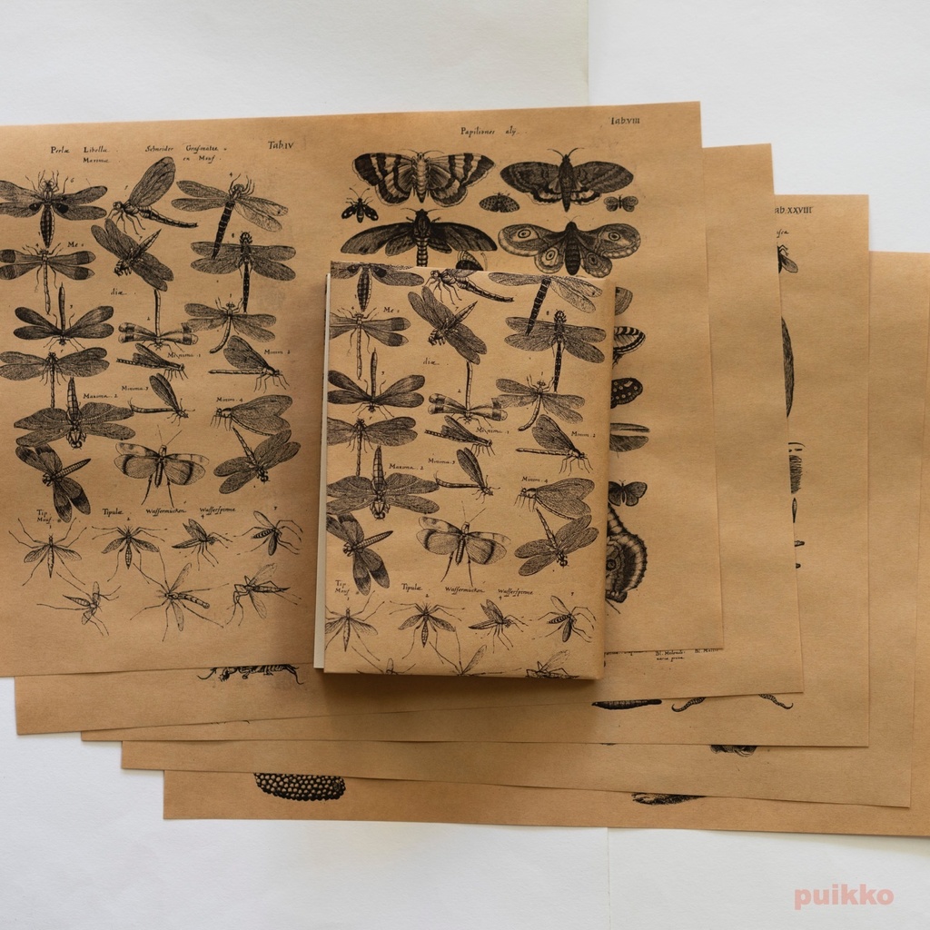 紙製ブックカバー　ヨンストン「鳥獣虫魚図譜」2（5枚セット）