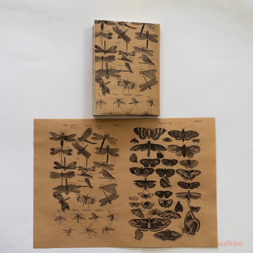 紙製ブックカバー ヨンストン「鳥獣虫魚図譜」2(5枚セット)
