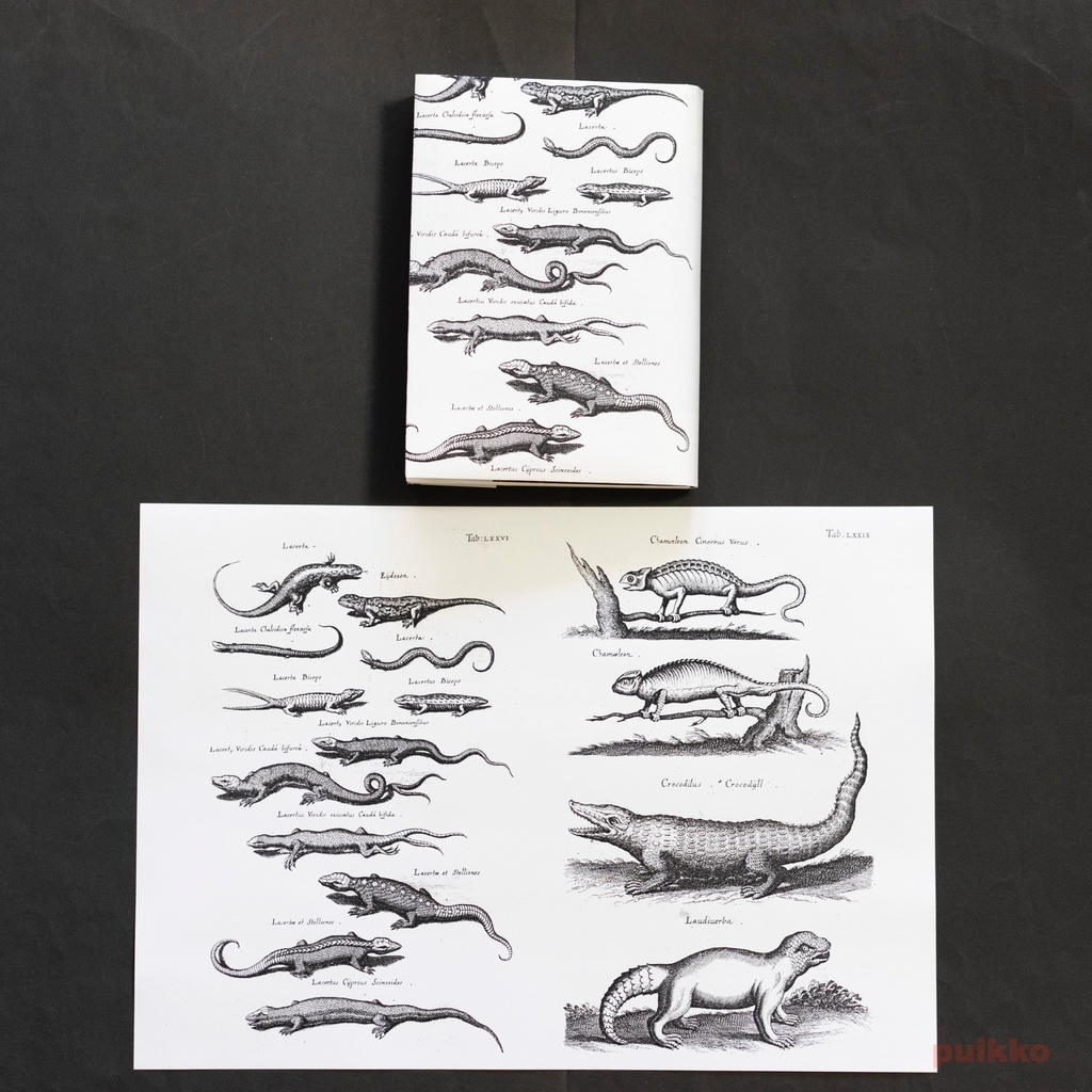紙製ブックカバー ヨンストン「鳥獣虫魚図譜」3(5枚セット)