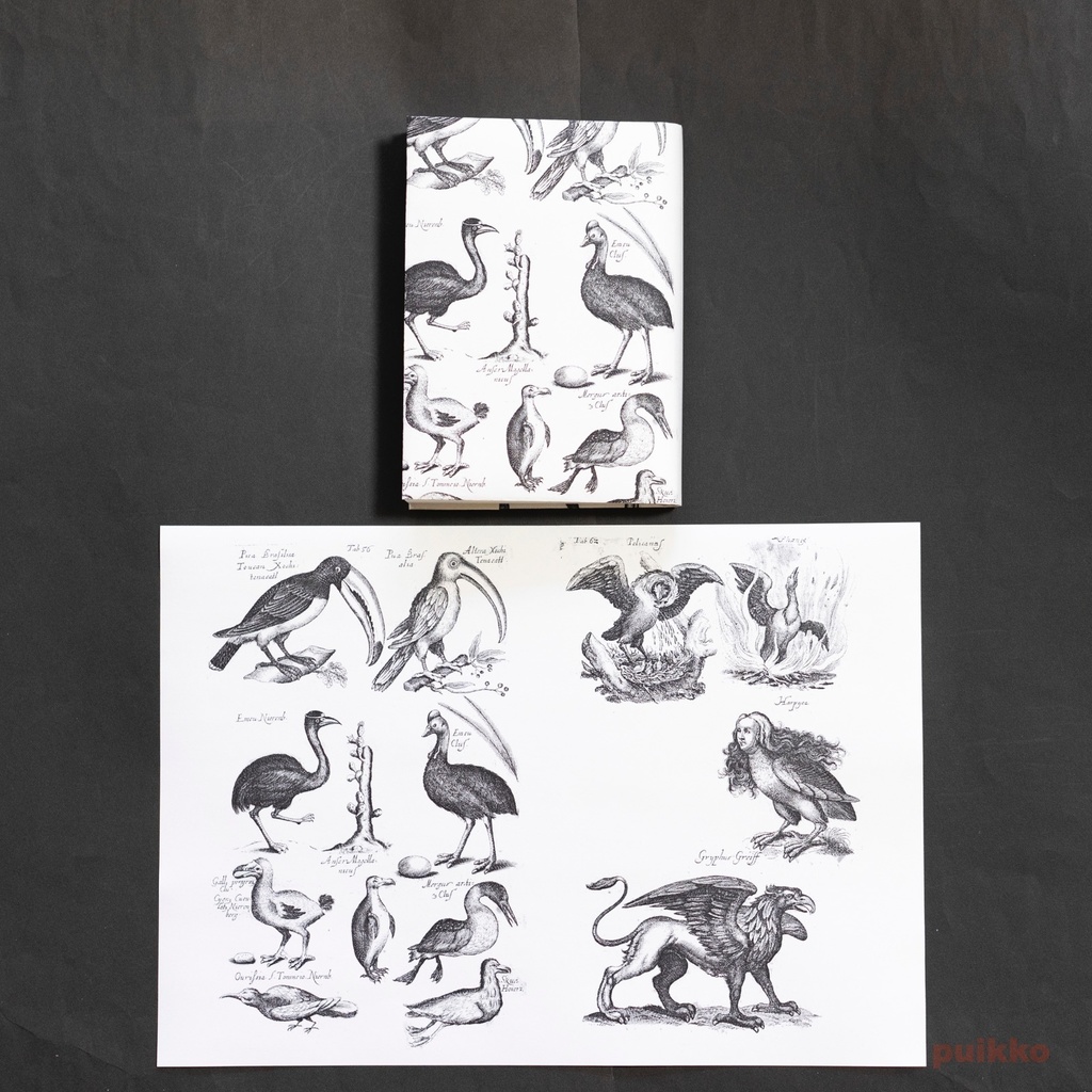 紙製ブックカバー ヨンストン「鳥獣虫魚図譜」4(5枚セット)