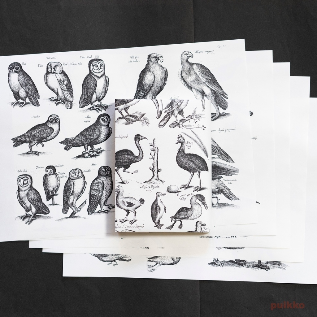 紙製ブックカバー ヨンストン「鳥獣虫魚図譜」4(5枚セット)