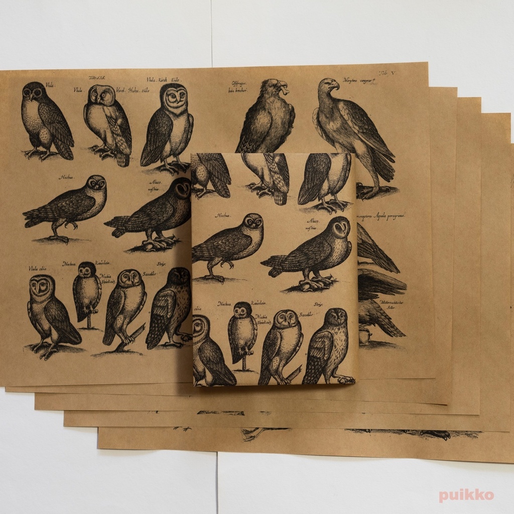紙製ブックカバー　ヨンストン「鳥獣虫魚図譜」4（5枚セット）