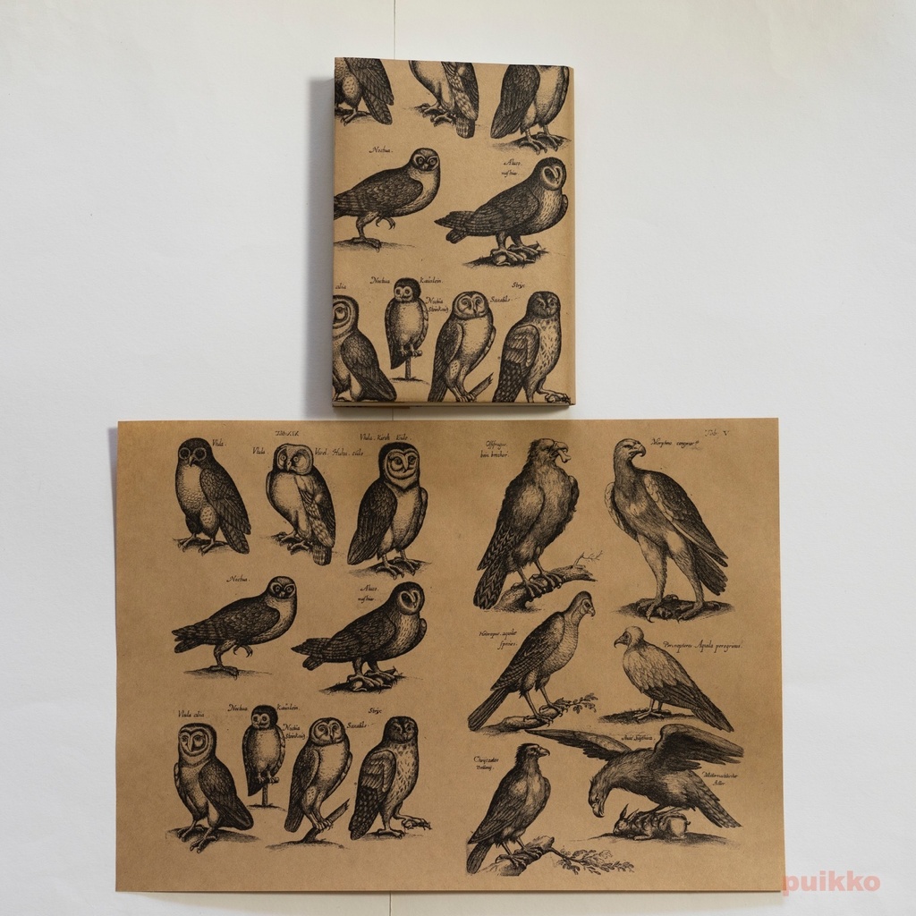 紙製ブックカバー ヨンストン「鳥獣虫魚図譜」4(5枚セット)