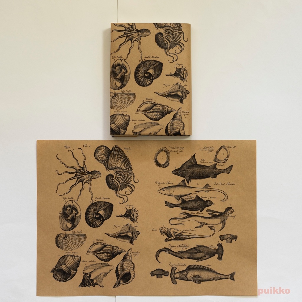 紙製ブックカバー ヨンストン「鳥獣虫魚図譜」5(5枚セット)