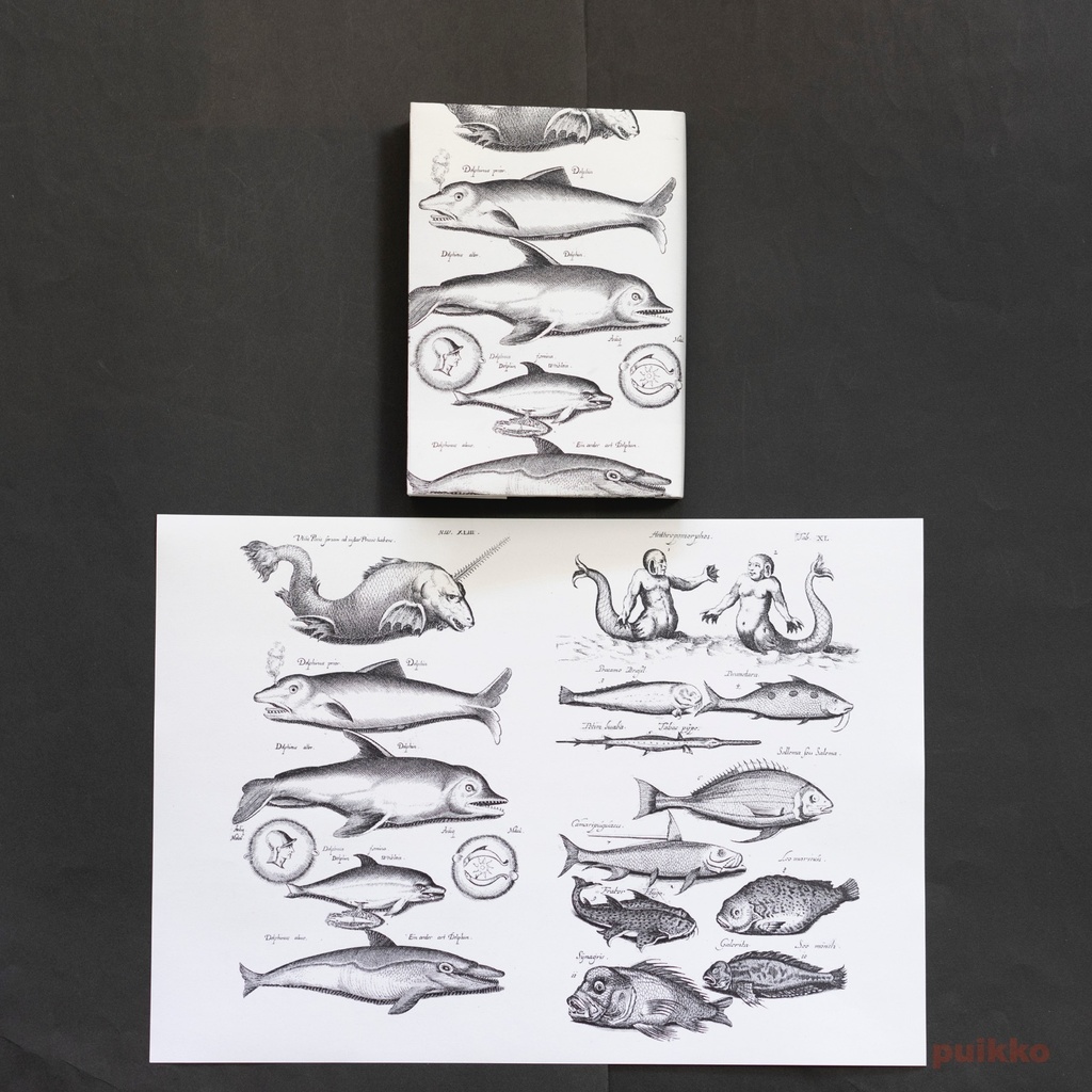 紙製ブックカバー ヨンストン「鳥獣虫魚図譜」5(5枚セット)