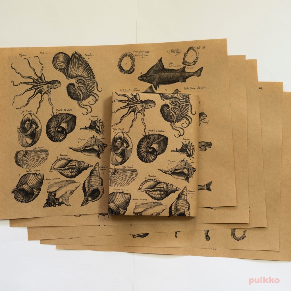 紙製ブックカバー　ヨンストン「鳥獣虫魚図譜」5（5枚セット）