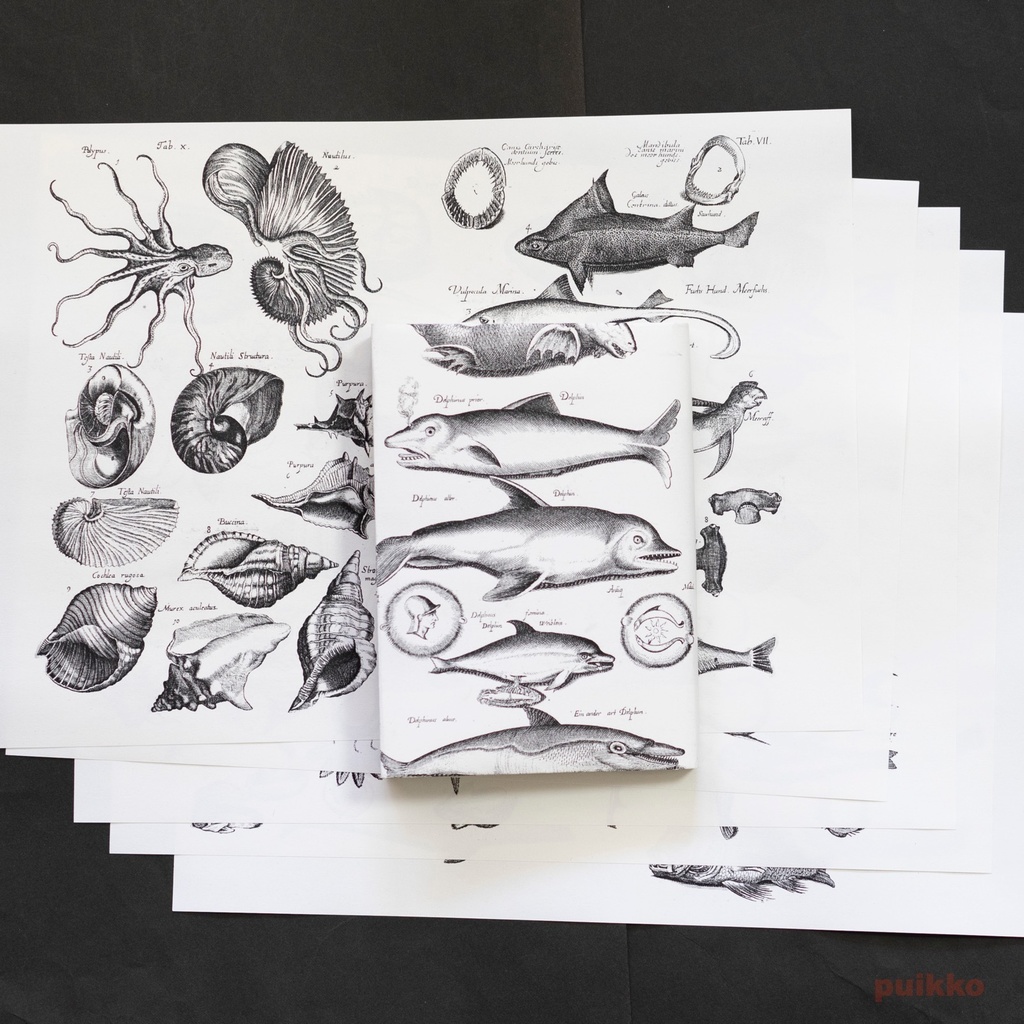 紙製ブックカバー ヨンストン「鳥獣虫魚図譜」5(5枚セット)