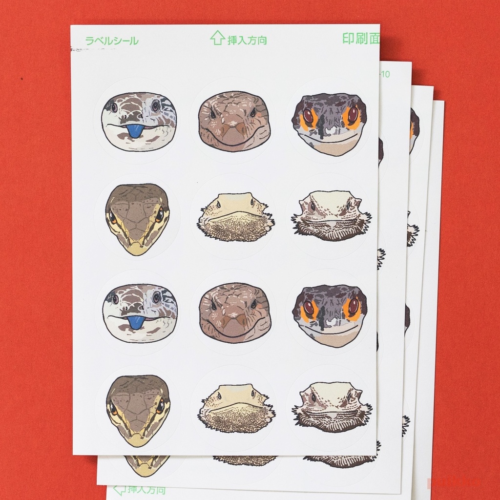 丸シール30mm トカゲの正面顔