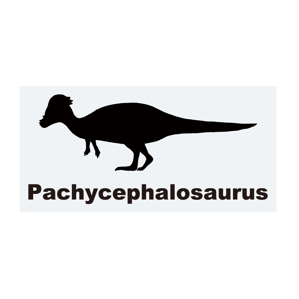 恐竜ステッカー　パキケファロサウルス