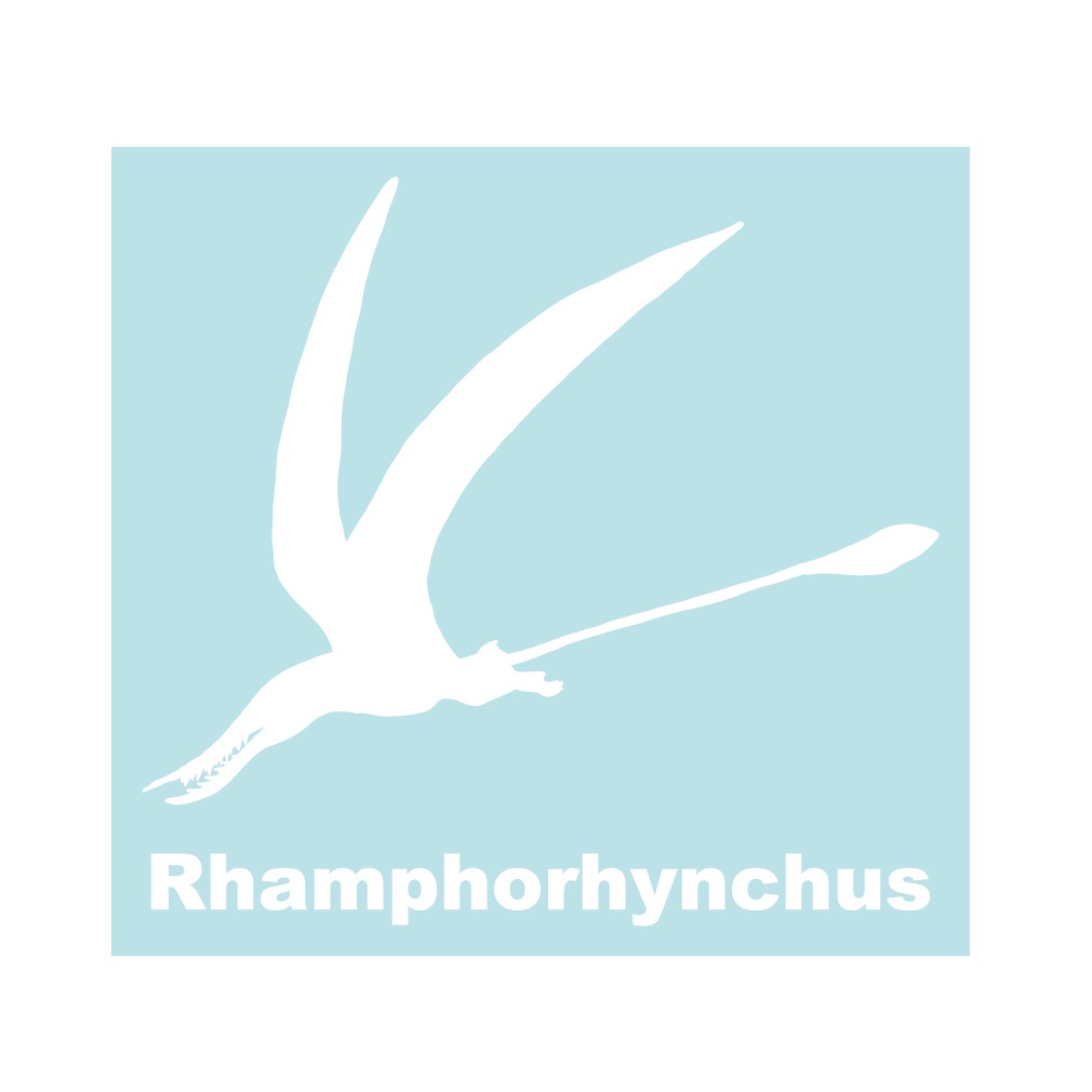 恐竜ステッカー ランフォリンクス