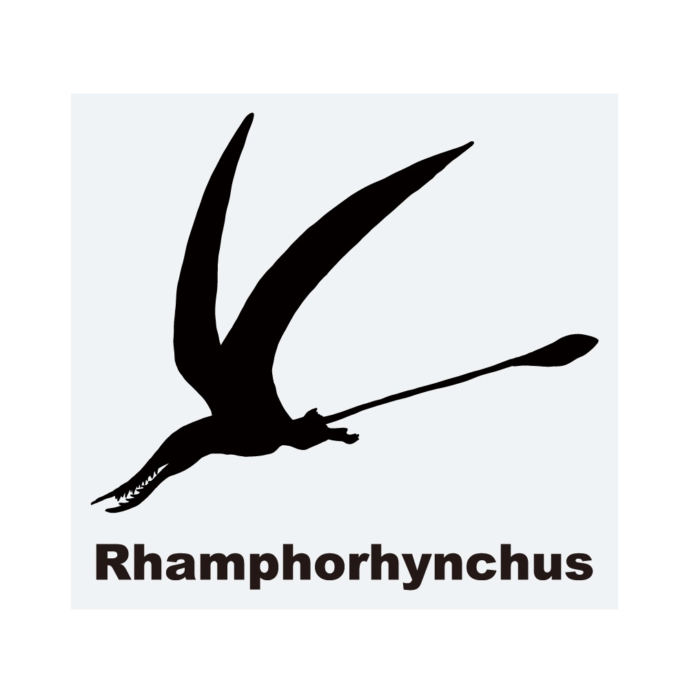 恐竜ステッカー　ランフォリンクス