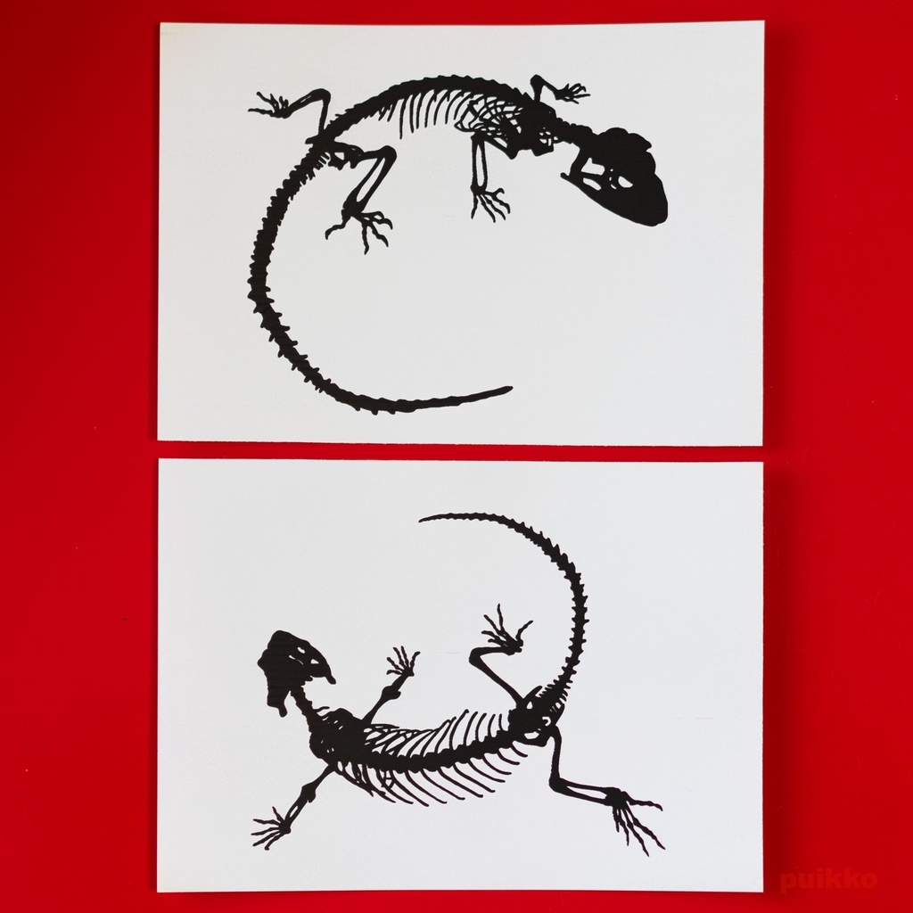 シール　ヒョウモントカゲモドキの骨格1（A6判x2）