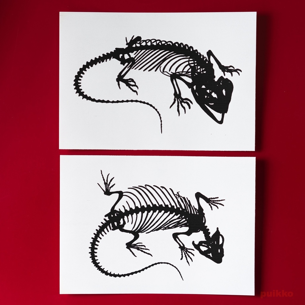 シール　フトアゴヒゲトカゲの骨格（A6判x2）