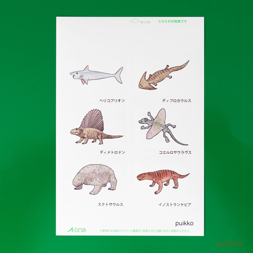 角型シール(40x30mm) 古生代の生物(3枚セット)